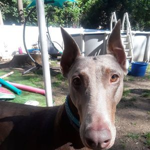 Meet your Posher, Allysen